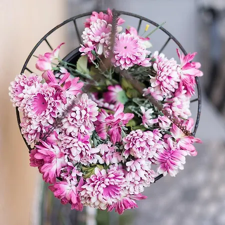 Appartamento Kristina's